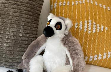 Serengeti Safari Room - Foto 14