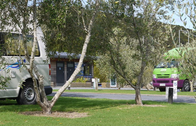 Bay of Islands Holiday Apartments - Foto 44