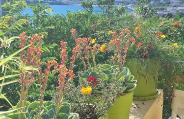 Marchie's Place - Spacious one bedroom apartment for rent on Skopelos Island - Foto 24