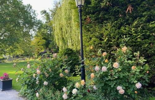 Ferienhaus Ilsenburg, luxuriöse Landhäuser mit Sauna und Kamin, mitten im Harz - Foto 43