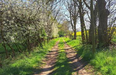 Zur Feldlerche - Foto 21