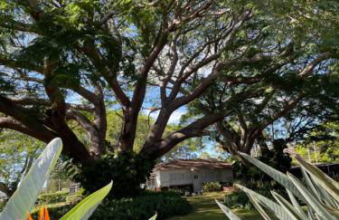 Ka Hale Kealoha - Foto 43