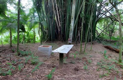 Chácara Morretes Arraial - Piscina e Rio - Photo 75