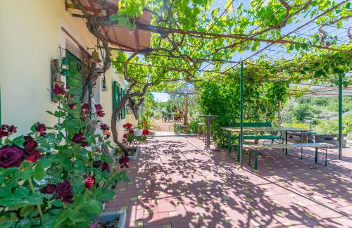 House Green Paradise - Photo 26