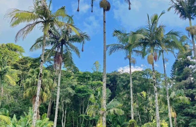 Paradisiacal Site in National Park - Foto 20