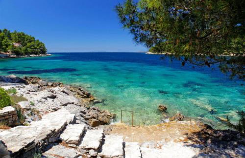 Villa Goga - Photo 47