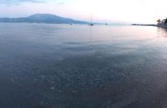 The cozy seaside apartment - Foto 36