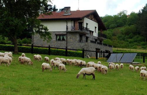 Txanpardin - Foto 73