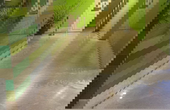 Peninsula Residents All Suite - Photo 45