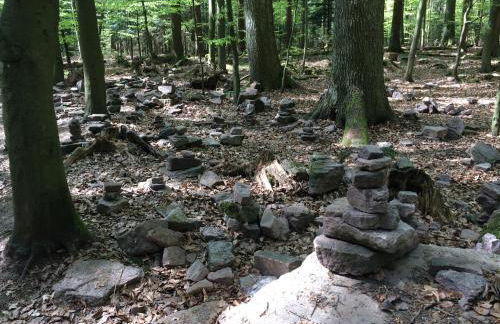 Ferienwohnung Kuckuck auf dem Sommerberg incl Schwarzwald Plus-Karte - 2 Zimmer 50qm - Foto 76