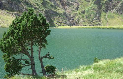 Pyrénées Boutx - Grand Gîte de caractère - Foto 39