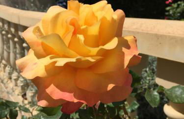 Chalet con vista al mar - Foto 2