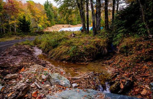 Beautiful Airstream Glamping Site for Romantic Weekends Away in North Carolina - Photo 25