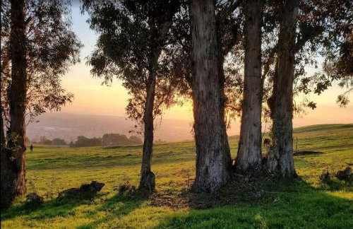 King Suite, 5 Queen beds Spacious Modern Home - Foto 19