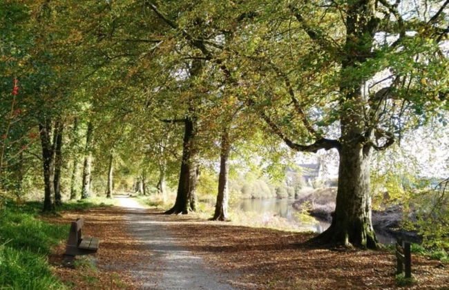 Jack's Place Beautiful 3-bed House Donegal - Foto 19