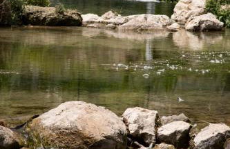 AT Restaurante El Palacil - Foto 70