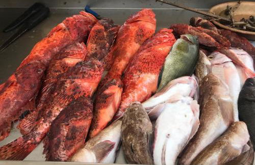 Home Music & Love - Foto 78