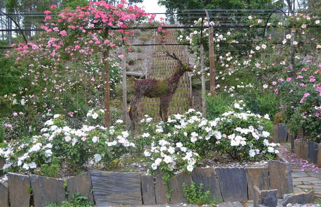 Charming Garden Retreat in Pedrogao Grande - Foto 19