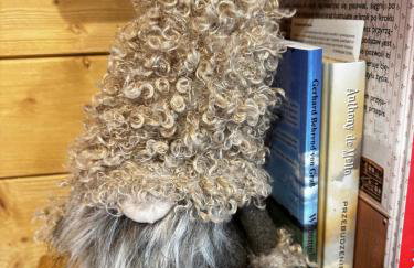 Bór i Woda - klimatyczny, drewniany dom w sercu jezior i lasów - Foto 74