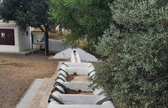 Esparto y sal - Photo 28