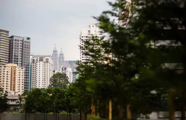 The Robertson 1 - Foto 37