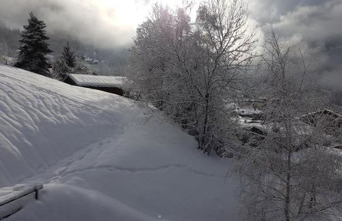 Arpege Des Neiges - Foto 8