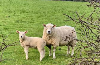 Gwel an Heyl, Padstow - Foto 54