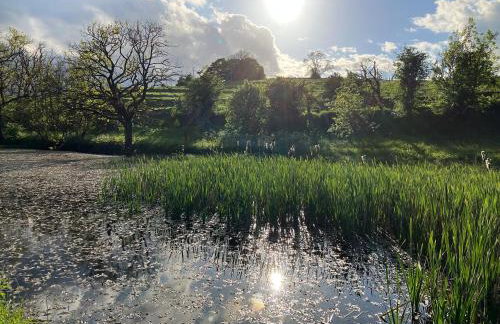 The Engine Room - Photo 48