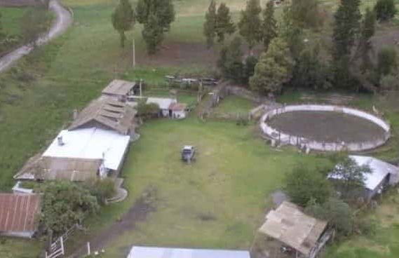 Senderismo por el bosque de Quero - Foto 1