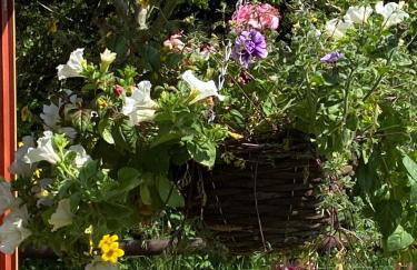 Primrose Cabin - Foto 18