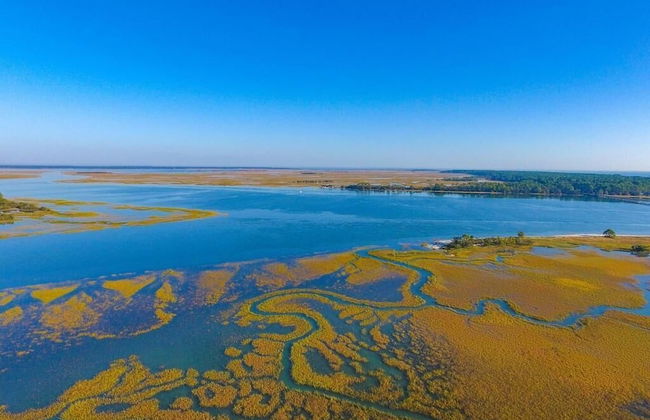 Stunning Marsh & Water Views in This Completely Renovated Three Bedroom Home - Foto 57