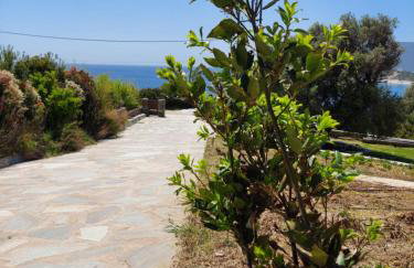 SkiNAmmos Eco Villas - Photo 20