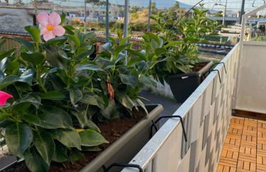 Casa Vacanza Gioia - Foto 8