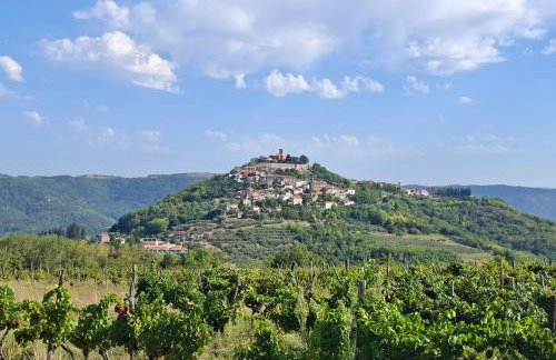 Apartment Nena- apartman sa posebnim ulazom u prizemlju, terasom i zelenom okućnicom - Foto 32