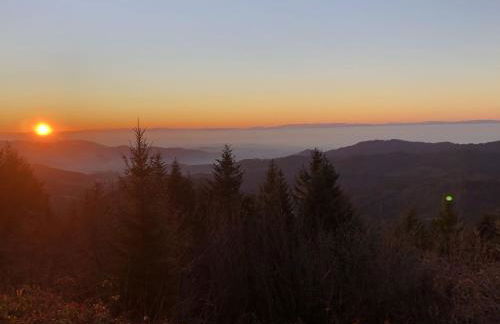 Ferienwohnungen Golla-lang - Foto 28
