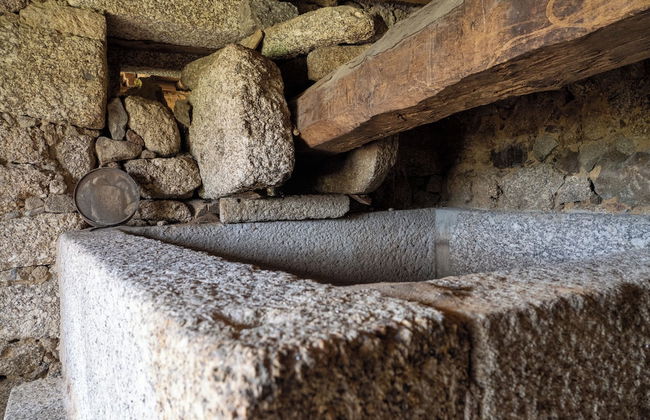 Quinta de Cypriano - Wine & Nature - Foto 66