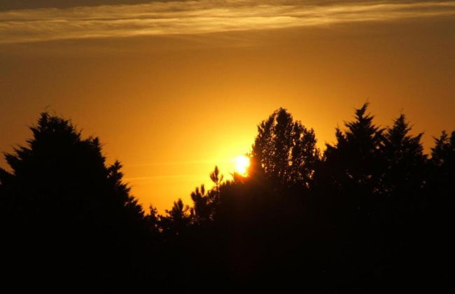 Family Retreat in Prats-du-perigord - Foto 38