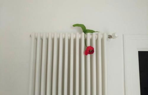 Antiche Mura Apartments"Bianco di Puglia" cucina 1 camera da letto più divano letto - Foto 27