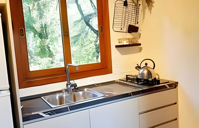 Siga Gramado - Centro e Lago Negro a pé - Photo 16