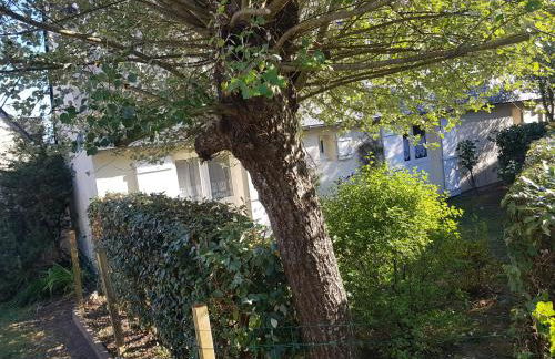 Maison des dunes L'Echappée Belle - Foto 15