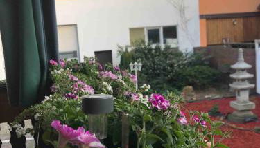 Familienhaus - Foto 3