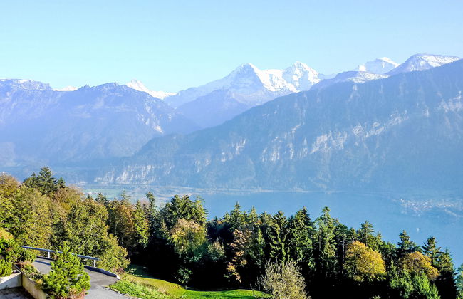 Berg-Seeblick - Foto 7