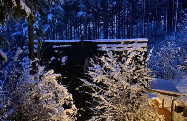 Wald-Chalet Vulkaneifel - Foto 42