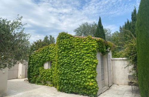 Le Mas du Chemin : mas typique des Alpilles - Foto 16