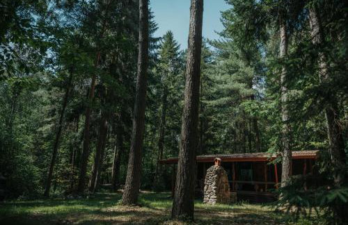 Forest Cabin - 50min od Warszawy - Foto 25