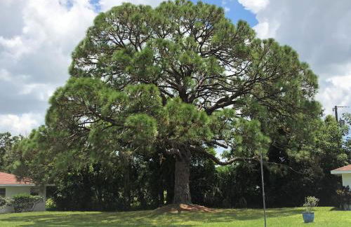 Addy's Villas - Foto 70