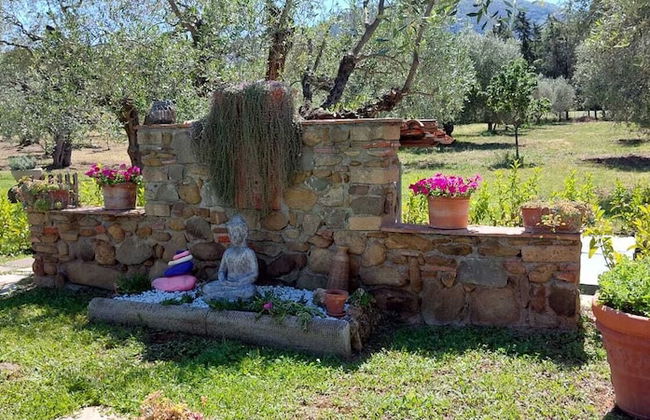 Buen Camino SSA - Foto 25