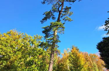 Steewer Landhaus gemütliche Ferienwohnung bis 6 Pers in ruhiger Ortsrandlage - Foto 61