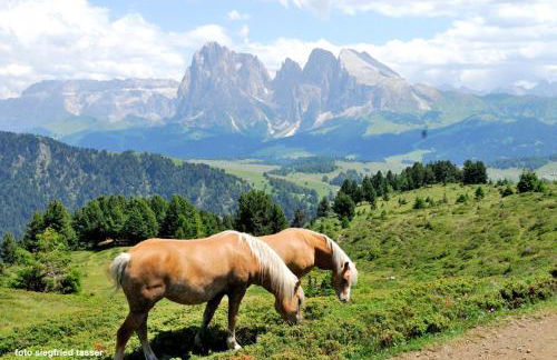 Apartment Gertrud - Foto 20