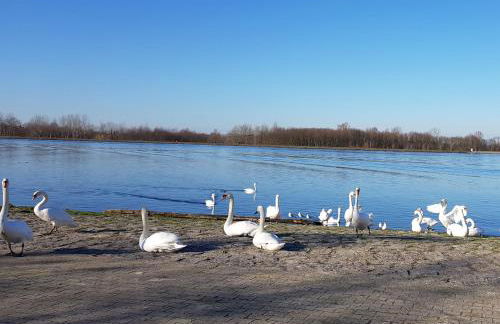 Casa Joda - Photo 34